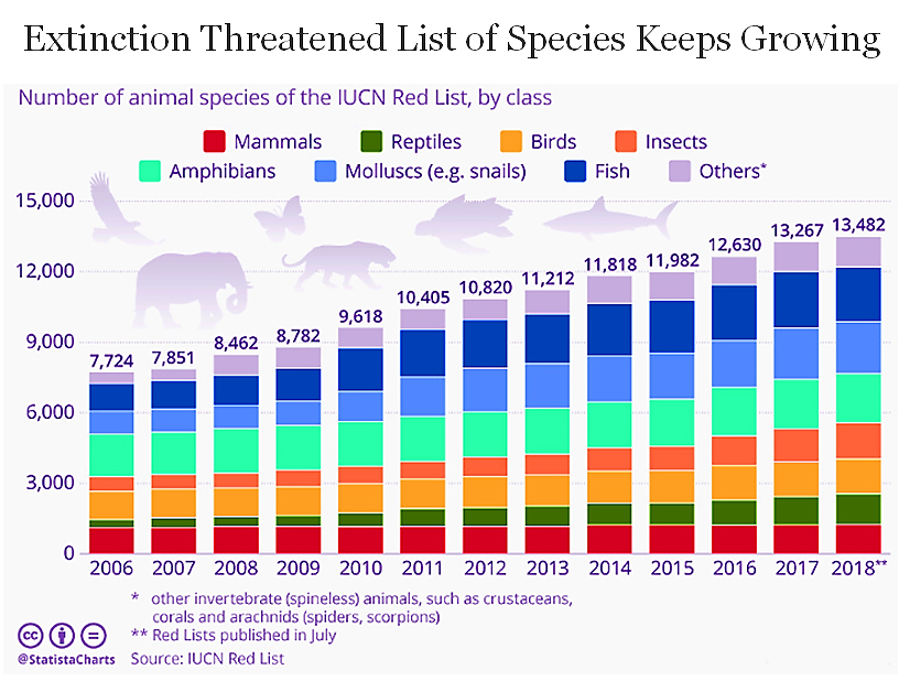 The loss of biodiversity, the rise of deadly diseases - BeyondKONA